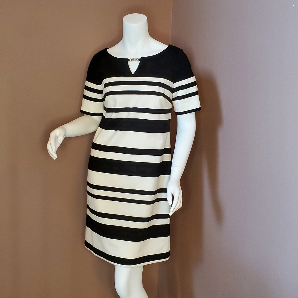 NWT WHBM ecru & black stripe Ponte knit shift dress 4